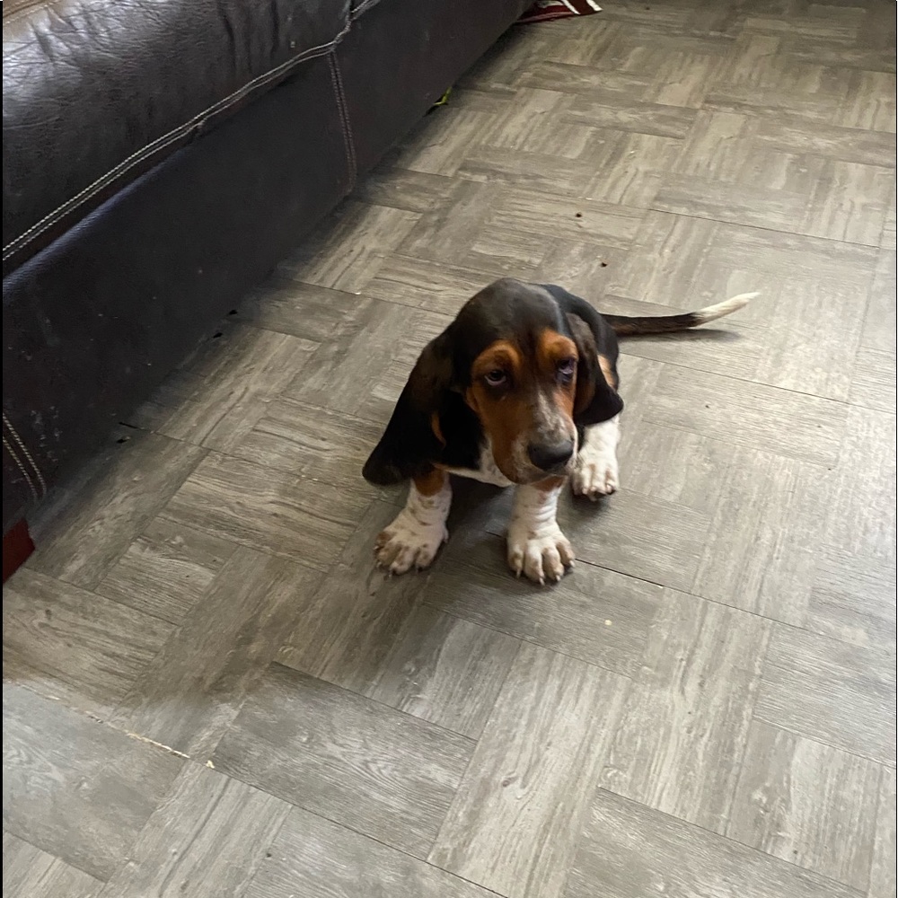 Meet your Posher, Ana